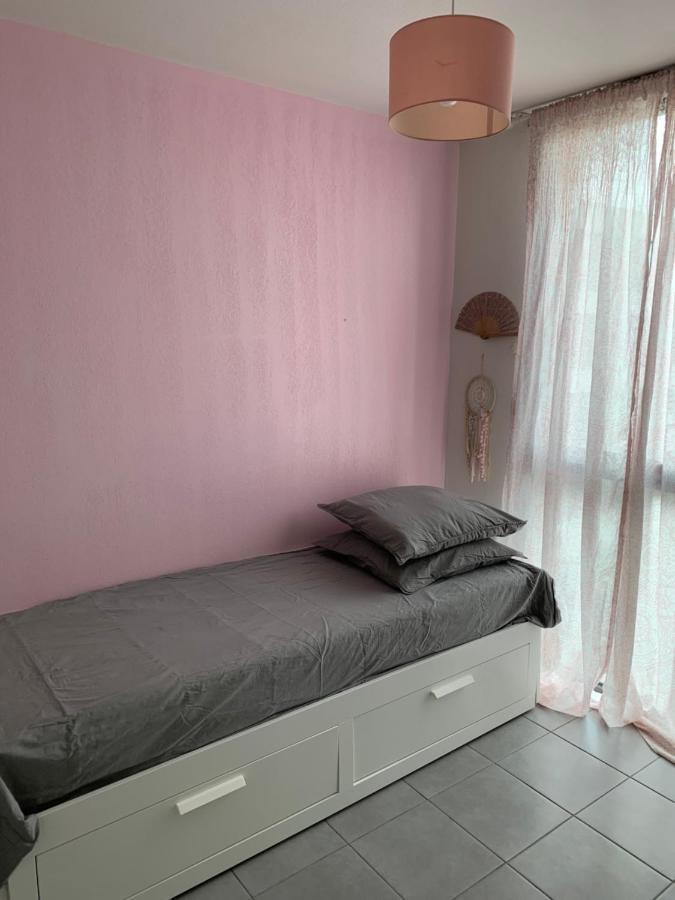 Superbe Appartement Avec Terrasse Toulouse Eksteriør bilde