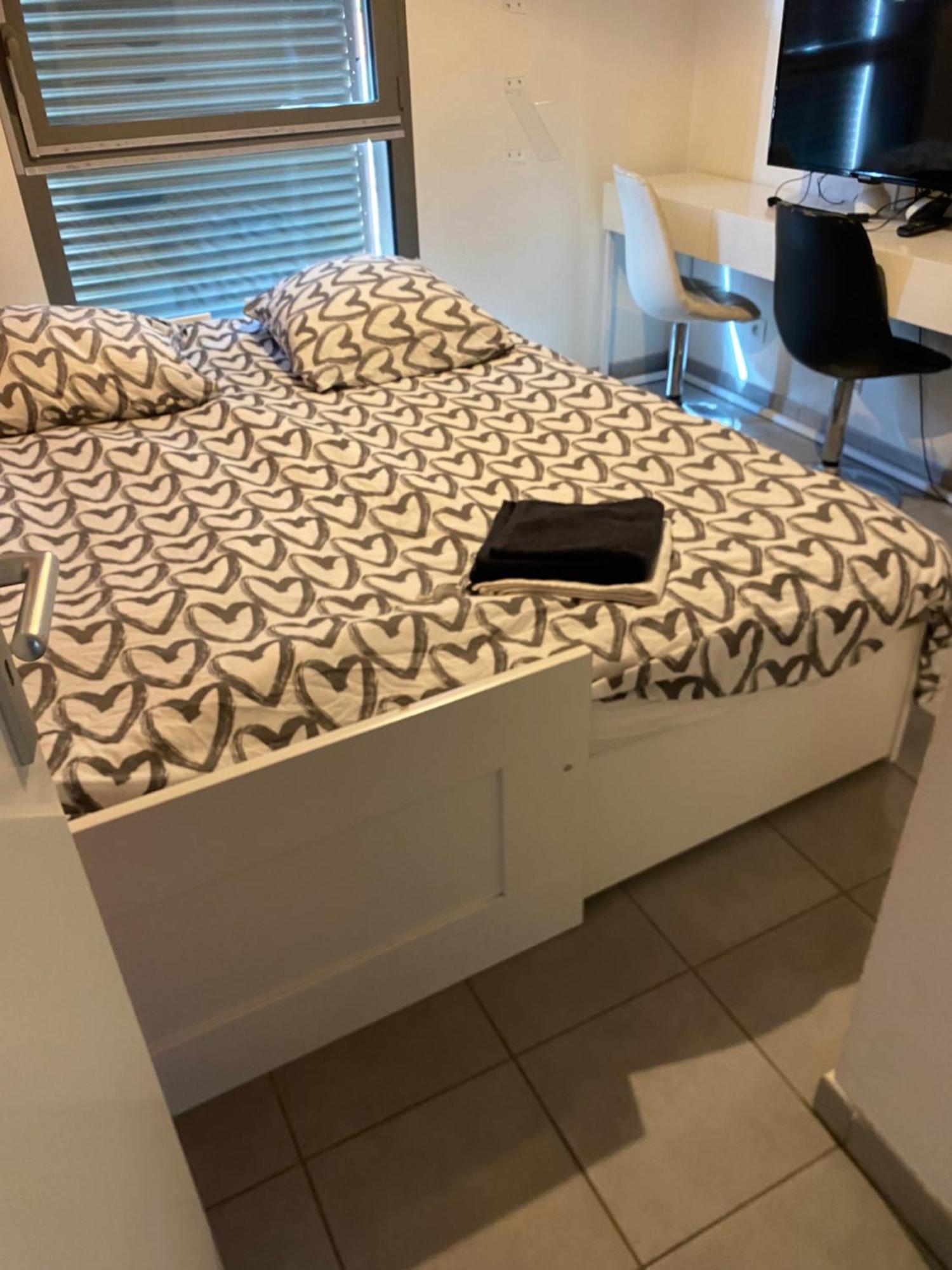Superbe Appartement Avec Terrasse Toulouse Eksteriør bilde
